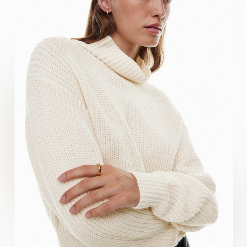 Wilfred Turtleneck Sweater